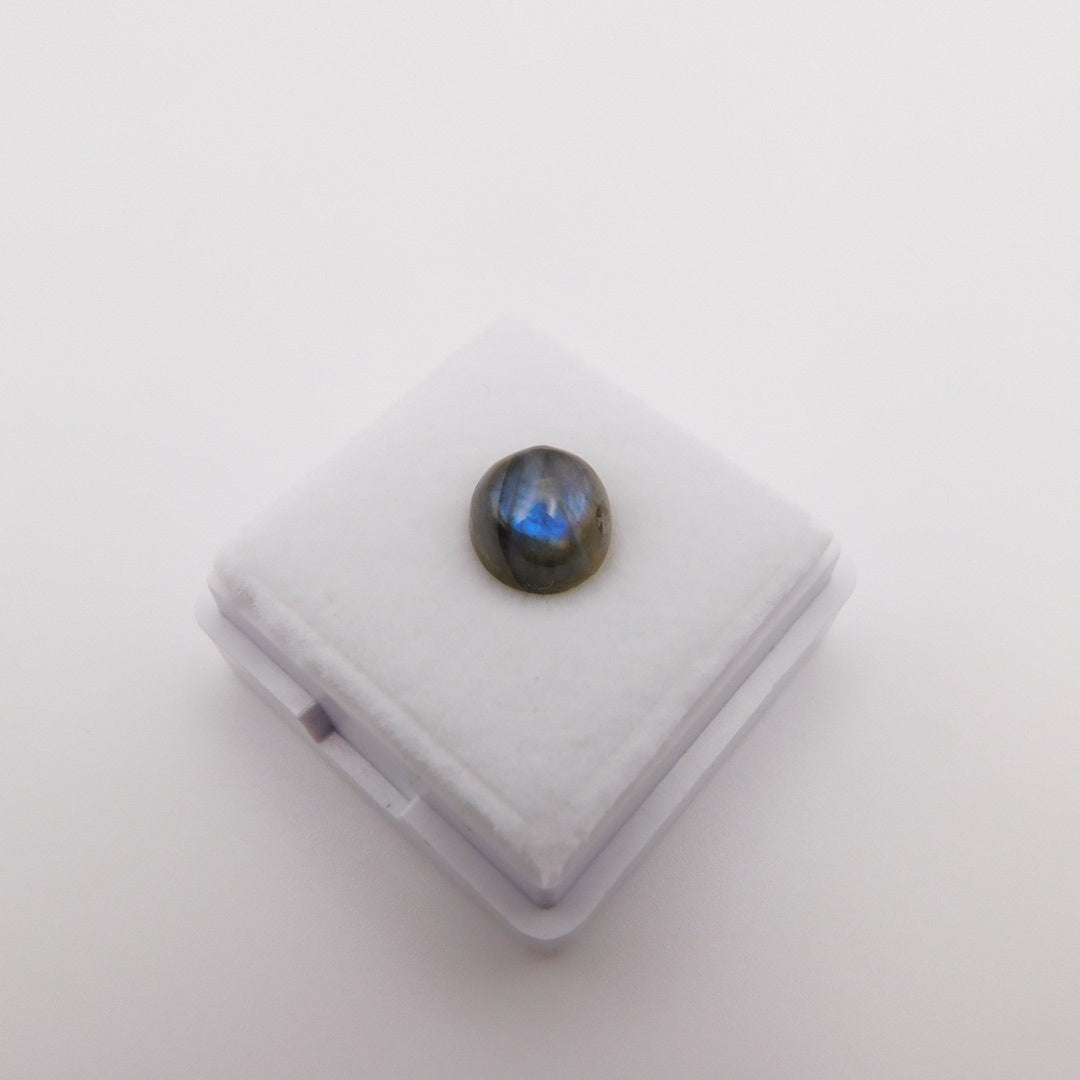 Candy Labradorite